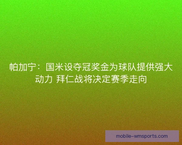 帕加宁：国米设夺冠奖金为球队提供强大动力 拜仁战将决定赛季走向